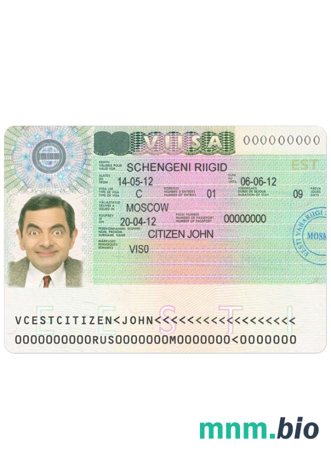 Estonia wiza schengen w pełni edytowalna PSD